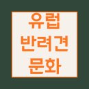 개발바닥친구들 이미지