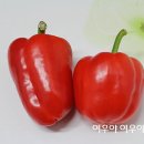 떡볶이대박집 이미지
