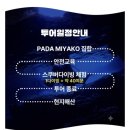 파다 | [일본여행] 미야코지마 PADA(파다) 투어 솔직후기🌊 바다거북 스노클링·스쿠버다이빙·야비지투어...