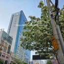 티티호텔 | 5월 부산여행| 부산 가족여행 가성비 숙소 4인, 서면역과 전포카페거리와 가까운 호텔티티 서면