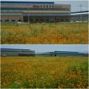 강변특장 이미지