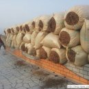 솔잎농장 이미지