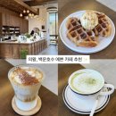 카페백운청