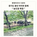 소나무목장 | 경기도 아이와 함께 떠나는 용인 농도원목장 체험 후기 예약 방법부터 꿀팁까지