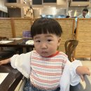 영월천하장사의집 | 18개월 차니와 강원도(평창,영월)