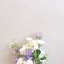 보볼리플라워