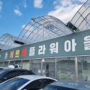 쎄드데플란타 이미지