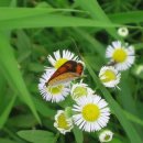 풍경세탁소 이미지