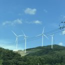 대관령그림같은풍경 | 평창 아이와 가볼 만한 곳, 대관령 삼양라운드힐 방문 후기｜양몰이 공연 내돈내산