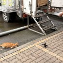 용담슈퍼 이미지