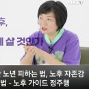 청춘포도 이미지