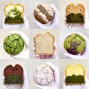 비건 베이커리 당근 컵케이크 | 강동구 프리미엄 비건 건강 디저트 카페 탱밀리