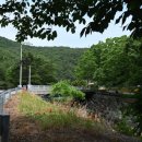 용현1교 이미지