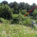 고성리-12 이미지