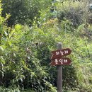 초가펜션 이미지