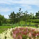 운양생태공원 이미지