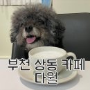 카페다월 이미지
