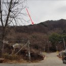 주식회사 옐로에그 이미지