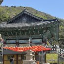 강화 석모도 알찬 맛집+여행 루트 보문사, 스카이랜드 비치카페1박 2일 여행추천 내돈내산