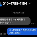 영광카시트