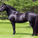 승용목장 이미지