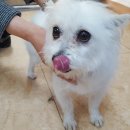 온정초등학교 이미지