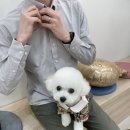 (주)스튜디오뭉치 네이버블로그