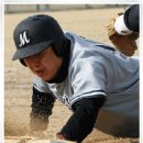 사회인야구에 대한 관심,조기축구를 앞서...야구 동호인수 급속확대 이미지