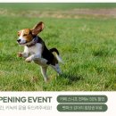 펫 프렌들리 호텔 이미지