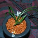 자산동011 이미지