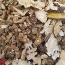 본라인한의원 이미지