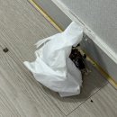 (주)지티에프메디칼 | 내향인의 주5일 약속 체험기