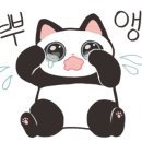 썬샤인펜션