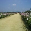 화원읍사무소 앞 이미지