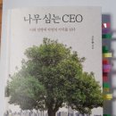 부름켜 이미지