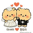 호텔카카오 | [부산 화이트홀 투어 ④] 센텀호텔 카카오홀 장단점 후기 (26년 잔여타임, 식대 공유)