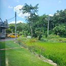 샘마루 유도스쿨 이미지