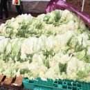 황칠사랑 이미지