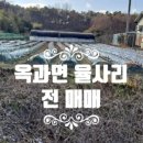 곡성-242 이미지
