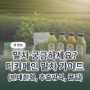 남양유업제주가정 | 말차 디카페인 가능 여부와 국내 판매 현황 정리