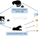미르동물병원 이미지