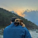 피아프스테이 이미지