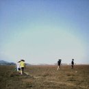 잔디휴가중 이미지