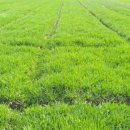 봄뜰에농장 이미지