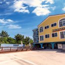 오늘하루 애견 동반 스파펜션 이미지