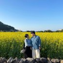 트레이닝 리까 | 취미를 곁들인 세 번째 제주여행🌊(차박,크로스핏 웨스트코스트 드랍인!)