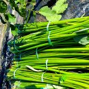 덕연농장 이미지