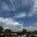 샤인농부협동조합 | 청도 농부점빵 + 청도 버던트 카페 내돈내산 후기