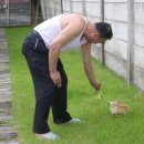 마당새