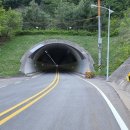 돌배나무집민박 이미지